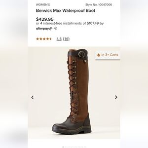 Ariat Women's Winter Boots